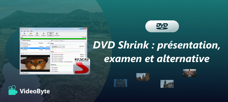 DVD Shrink : présentation, examen et alternative