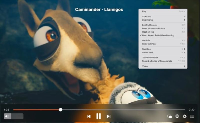 Elmedia Video Player