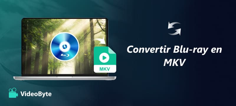 Convertir un Blu-ray en MKV