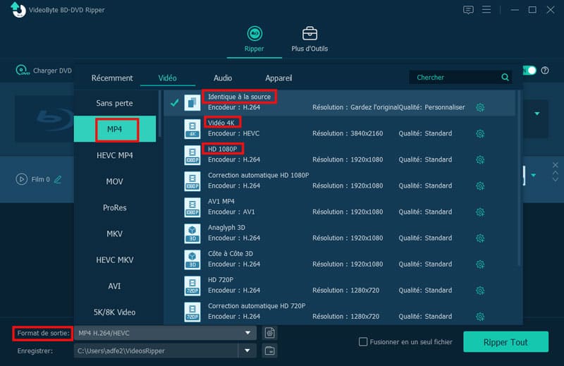Choisir le format de sortie en VideoByte